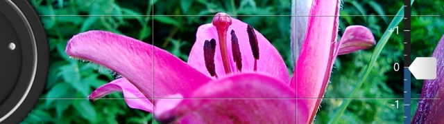 featured icon