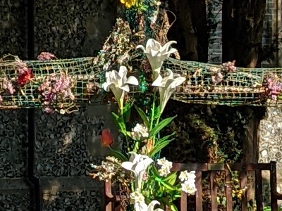 1:1 crop from the Pixel 6 Pro