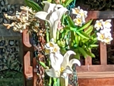 1:1 crop from the Pixel 6 Pro