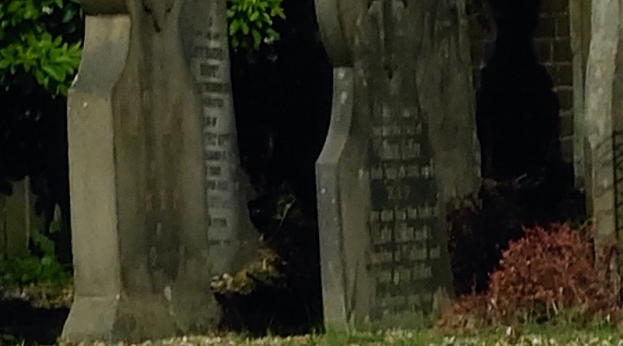 Xperia 5 iii cropped