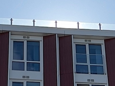 1:1 crop from the iPhone 12 Pro Max