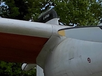 1:1 crop from the iPhone 12 Pro Max